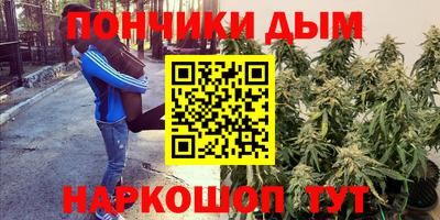 крисы Ливны